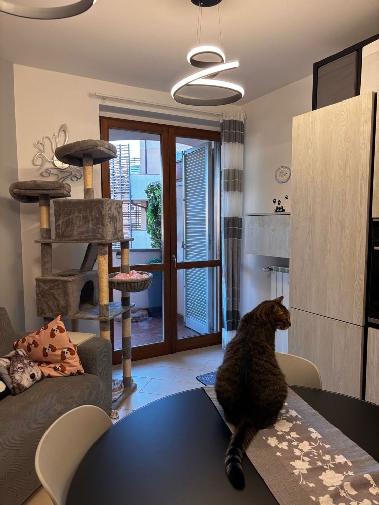 3 bedrooms Apartment in Calenzano, Italy No. 324618