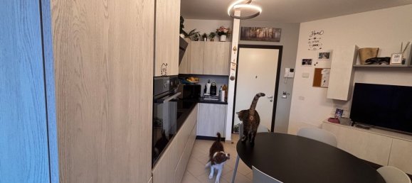 3 bedrooms Apartment in Calenzano, Italy No. 324618 22