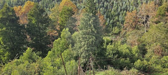 2 Schlafzimmer Haus in Penafiel, Portugal, Nr. 28042 14