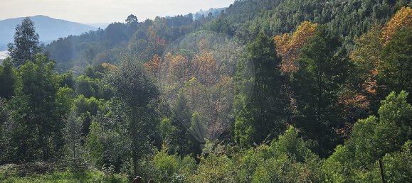 2 Schlafzimmer Haus in Penafiel, Portugal, Nr. 28042 13