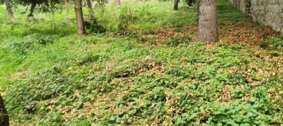 Земельный участок 5000м² в Сен-Приест-ан-Жаре, Франция № 88129 3