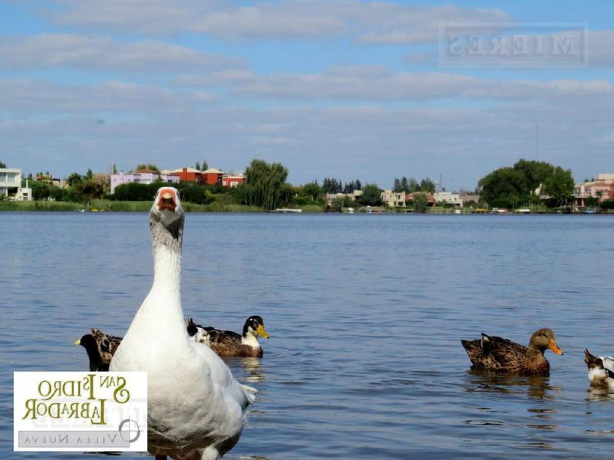 Terrain à Tigre, Argentina No. 118448