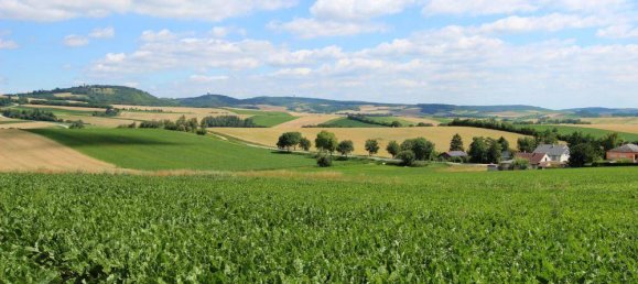 4 غرف نوم فيلا في Ernstbrunn, Austria رقم 38377 8