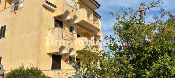 2 chambres Appartement à Santa Teresa Gallura, Italy No. 324027 11