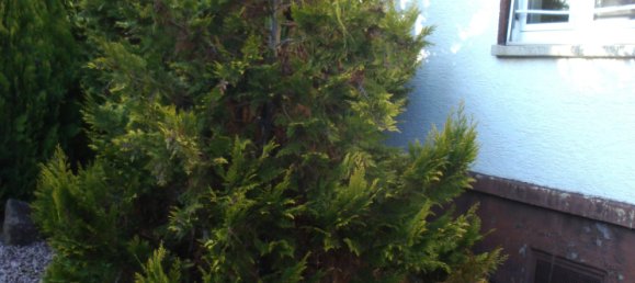 4 bedrooms Townhouse in Rhein-Neckar-Kreis, Germany No. 1299 2