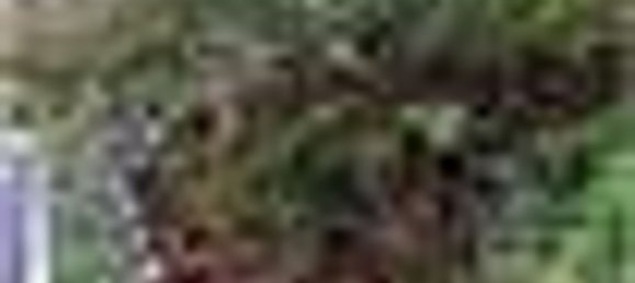 7 rooms Apartment in Gorno, Italy No. 181143 4