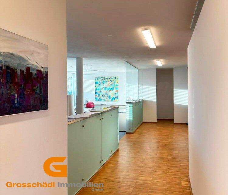 321m² Commercial property in Salzburg, Austria No. 128218