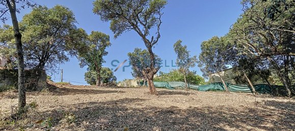 Grundstück in Pietrosella, France, Nr. 243661 6