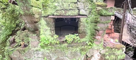 2 Schlafzimmer Haus in Viana do Alentejo, Portugal, Nr. 16926 4