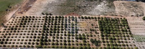 19500m² Land in Palmela, Portugal No. 92314