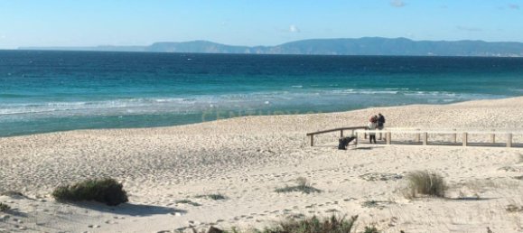 Studio à Alcacer do Sal, Portugal No. 118891 32