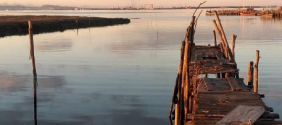 Studio à Alcacer do Sal, Portugal No. 118891 28