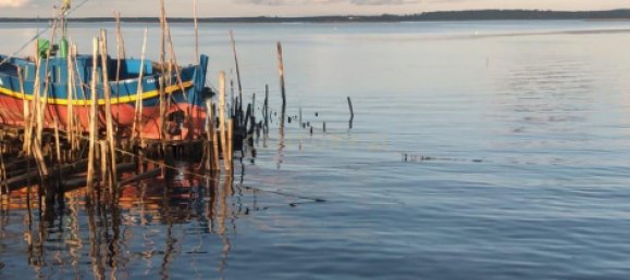 Studio à Alcacer do Sal, Portugal No. 118891 43
