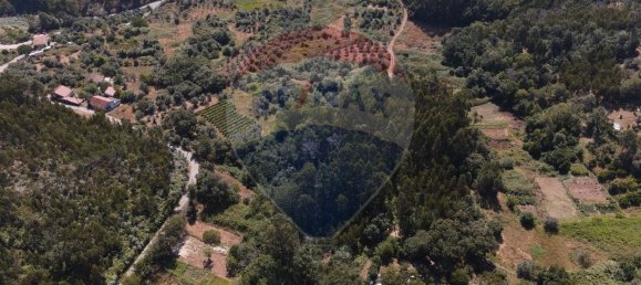 3 Schlafzimmer Haus in Alvaiazere, Portugal, Nr. 20713 17