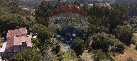 3 Schlafzimmer Haus in Alvaiazere, Portugal, Nr. 20713 19