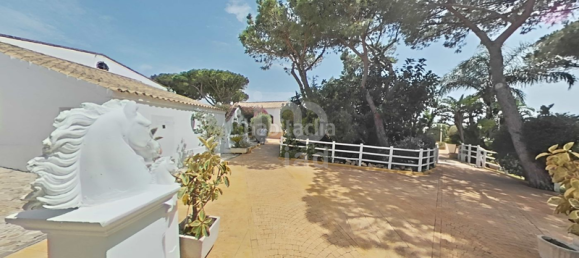 Отель, гостиница 4896м² в Кадис, Испания № 176008 4