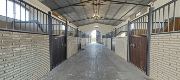 Отель, гостиница 4896м² в Кадис, Испания № 176008 34