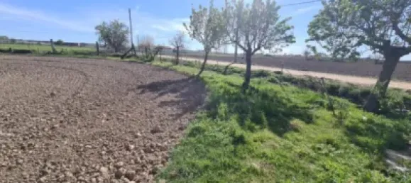 2 bedrooms House in Zamora, Spain No. 64456 17