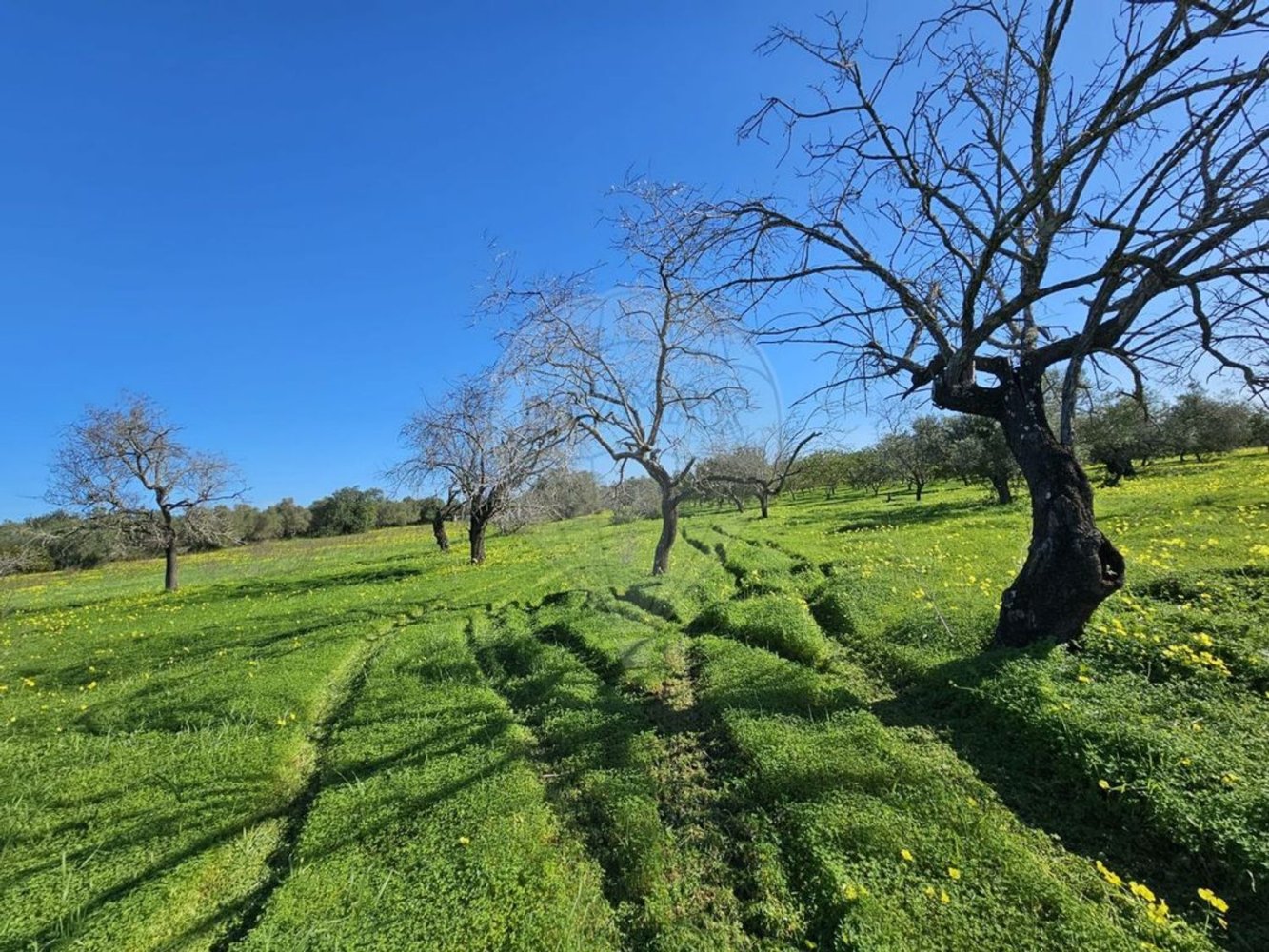 Terreno en Faro, Portugal 2640 m² No. 74634