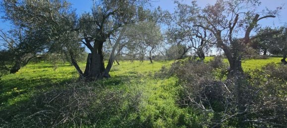 Terreno en Faro, Portugal 2640 m² No. 74634 2