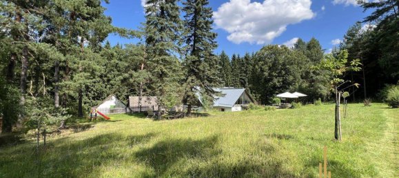 5 rooms House in Haugschlag, Austria No. 196300 30