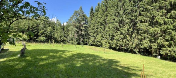 5 rooms House in Haugschlag, Austria No. 196300 29