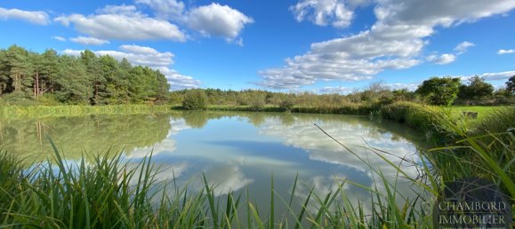 Дом с 4 спальнями в Ле-Контруаз-ан-Солонь, Франция № 237655 3
