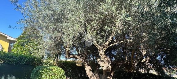 Casa de 5 habitaciónes en Tuscania, Italy No. 273241 47