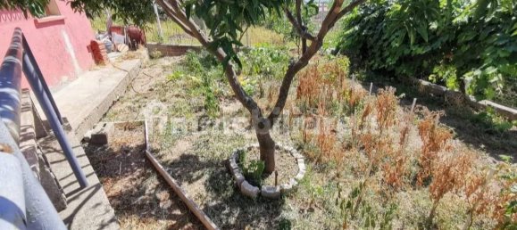 1 bedroom Apartment in Marcellinara, Italy No. 263811 10