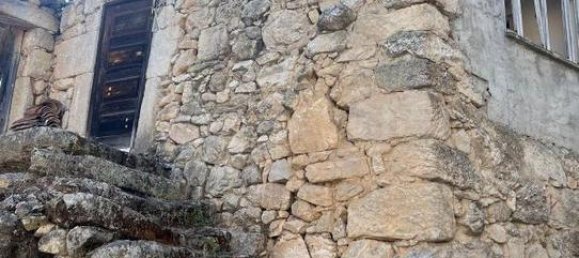 1 Schlafzimmer Haus in Fornos de Algodres, Portugal, Nr. 44126 3