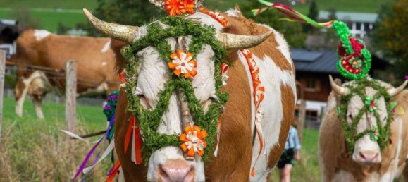 Dúplex de 4 habitaciónes en Berchtesgadener Land, Germany No. 292539 45