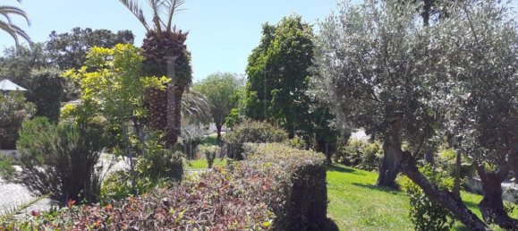 7 Schlafzimmer Haus in Torres Novas, Portugal, Nr. 49919 13