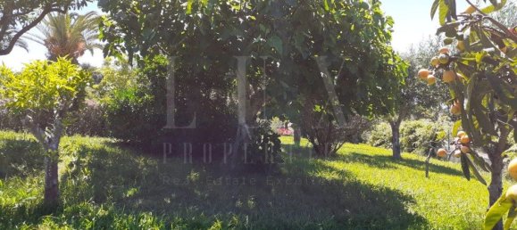 7 Schlafzimmer Haus in Torres Novas, Portugal, Nr. 49919 15