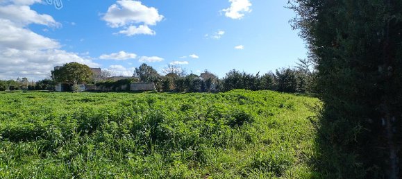 Земельный участок 15500м² в Gallipoli, Италия № 237415 3