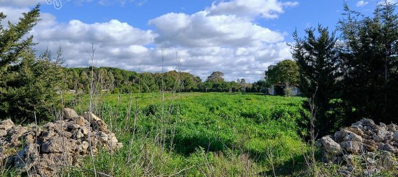 Земельный участок 15500м² в Gallipoli, Италия № 237415 4