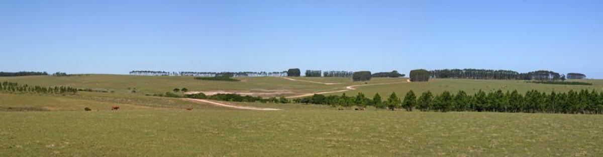  Farm in Maldonado, Uruguay No. 14938
