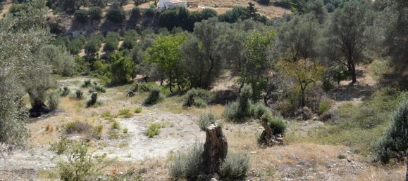 Hotel in Rethymno, Greece 1760m², Nr. 6625 3