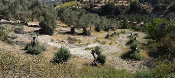 Hotel in Rethymno, Greece 1760m², Nr. 6625 2