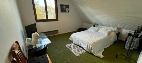 4 chambres Maison à Romorantin-Lanthenay, France No. 54621 6