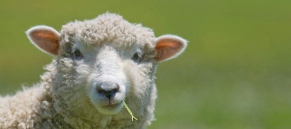 3 bedrooms House in Mont-les-Neufchateau, France No. 213291 18