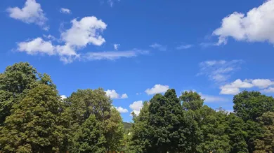 3 rooms Apartment in Baden, Austria No. 208178