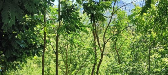 6 rooms Villa in Grizzana Morandi, Italy No. 128990 23