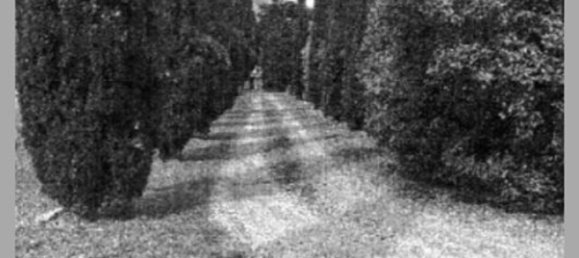 7 bedrooms Villa in Cortona, Italy No. 321370 24