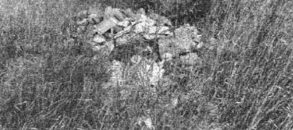 7 bedrooms Villa in Cortona, Italy No. 321370 8