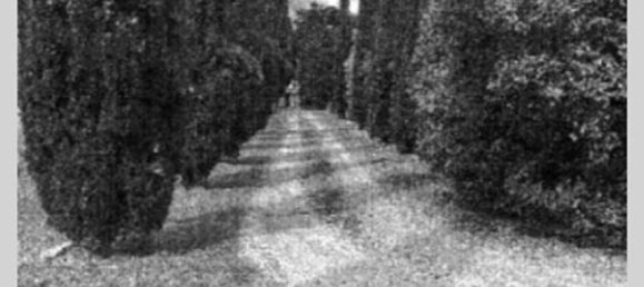 7 bedrooms Villa in Cortona, Italy No. 321370 33