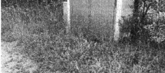 7 bedrooms Villa in Cortona, Italy No. 321370 9