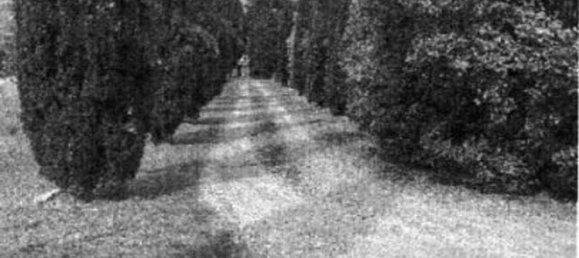 7 bedrooms Villa in Cortona, Italy No. 321370 5