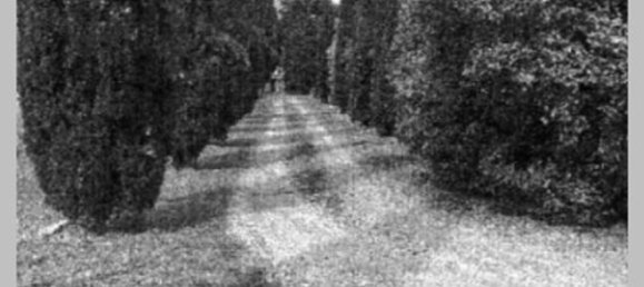 7 bedrooms Villa in Cortona, Italy No. 321370 15