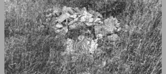 7 bedrooms Villa in Cortona, Italy No. 321370 27