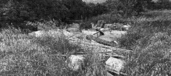 7 bedrooms Villa in Cortona, Italy No. 321370 10